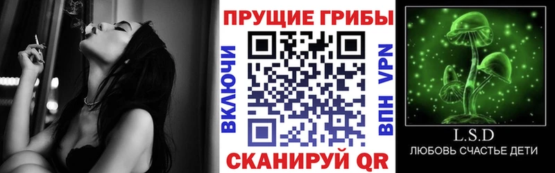 купить  сайты  Вологда  Псилоцибиновые грибы GOLDEN TEACHER 